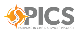 PICS logo final Logo color 1